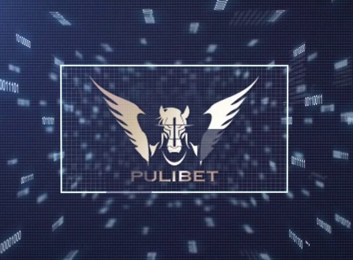 Pulibet Casino turkiye