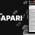 Megapari-India-2